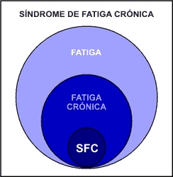 proporcion_sfc.jpg