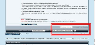 traductor foro.jpg
